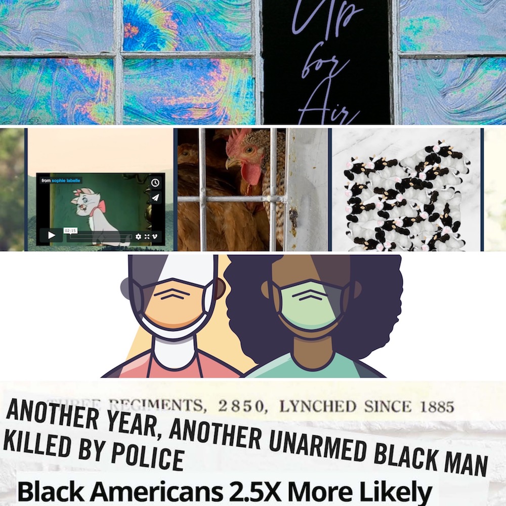 collage of pieces of four images stacked vertically: top image is blue translucent panels with "up for air" text, second is collage of illustrated white cat and photo of chickens, third image is illustration of two people in facemasks, fourth image is text reading "another year, another unarmed black man killed by police"